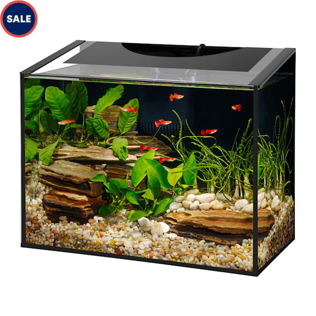 Aqueon Ascent Frameless LED Aquarium Kit 10 Gallon