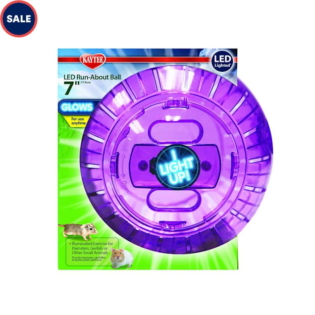Kaytee hamster ball top