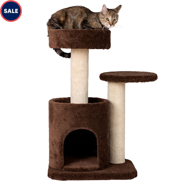 30 inch on sale cat tree