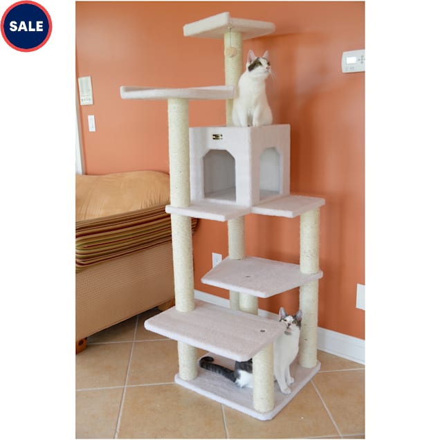 Aramark cat tree best sale