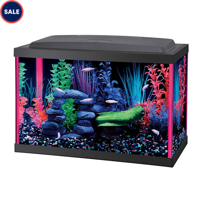 Aqueon LED 5.5 Gallon Pink Aquarium Kit Petco