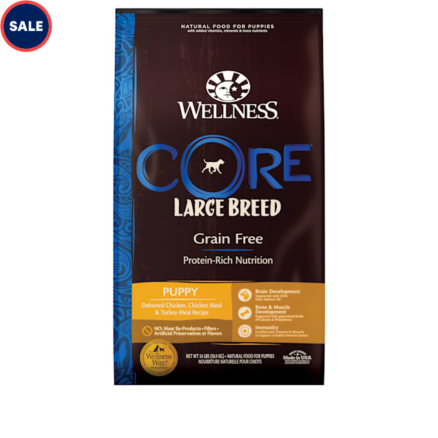 Wellness CORE Natural Grain Free Large Breed Dry Puppy Food, 24 lbs. - Carousel image #1