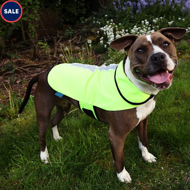 Pets at home hi vis dog coat discount