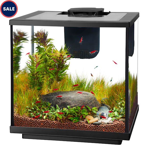 Aqueon LED MiniBow SmartClean Fish Aquarium Kit