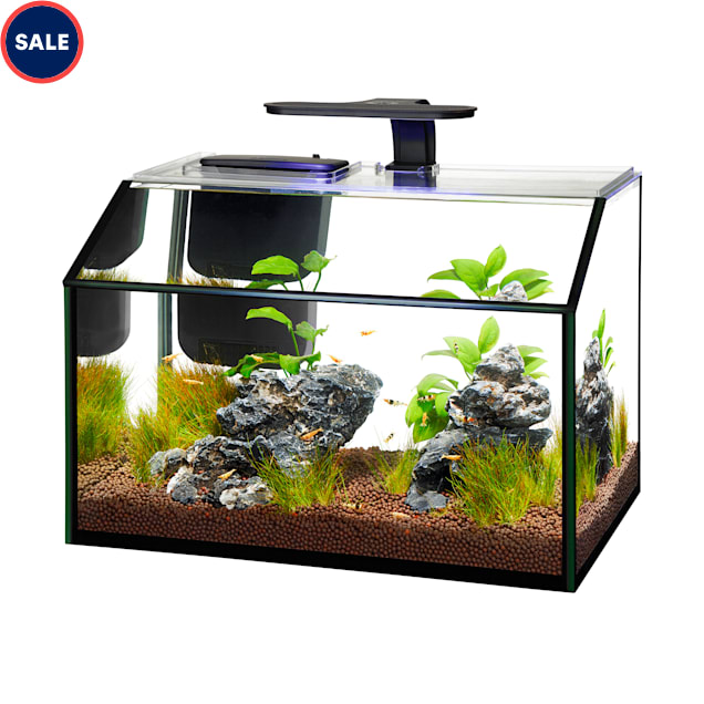 Petco 50 off on Select Aqueon OpenGlass Tanks