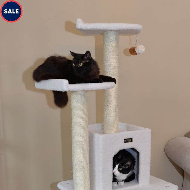 Armarkat Classic Model B6203 Real Wood Cat Tree, 62" H - Carousel image #1