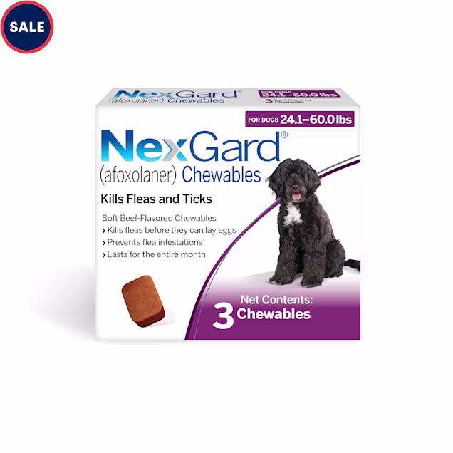 NexGard (afoxolaner) Flea and Tick Soft Beef Flavored Oral Chewables for Dogs 24.1 - 60 lbs. (Purple), Pack of 3 - Carousel image #1