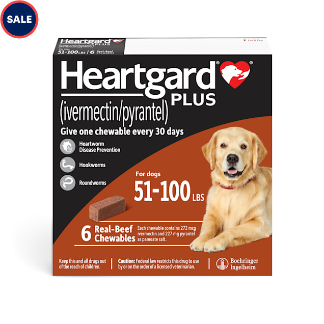 Heartgard Plus Chewables for Dogs 51 to 100 lbs., 6 Month Supply - Carousel image #1