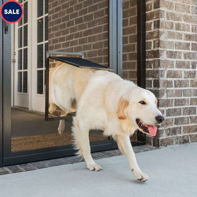 Large doggie shop doors for sale