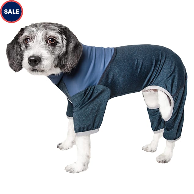 Petco small dog sweaters on sale