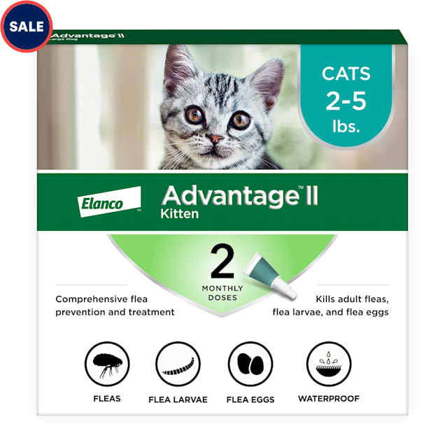 Advantage II Elanco Vet-Recommended Flea Treatment & Prevention for  Kittens, Count of 2 | Petco