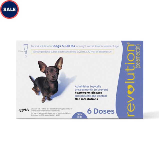 Revolution Topical Solution for Dogs 5.1-10 lbs, 6 Month Supply - Carousel image #1