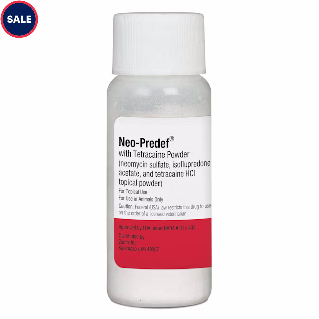 Neo-Predef with Tetracaine Topical Powder, 15 Grams | Petco