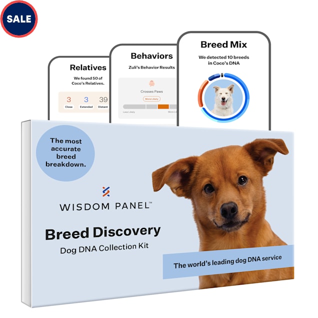 Wisdom Panel 3.0 Breed Identification Dog DNA Test Kit | Petco