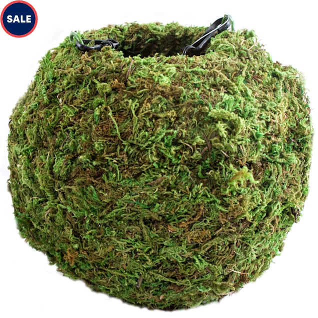 Galapagos Mossy Cave Hide, Small - Carousel image #1