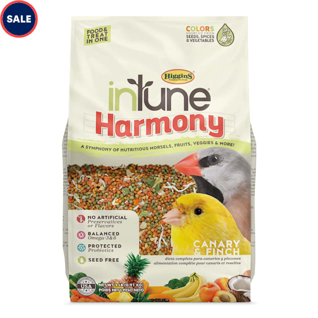 Canary online food treats