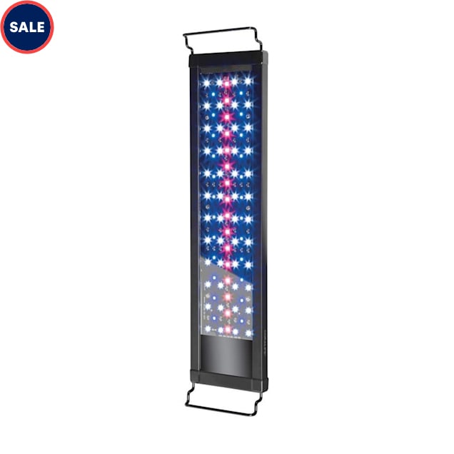 Petco aquarium light shop