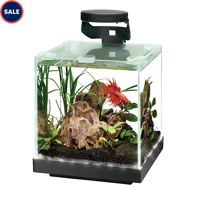 Aqueon Edgelit Rimless Cube Glass Aquariums Size 3 3gal