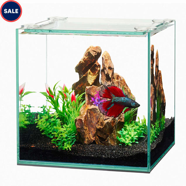 Best Fish Tanks: Heater, Light, and Accessories