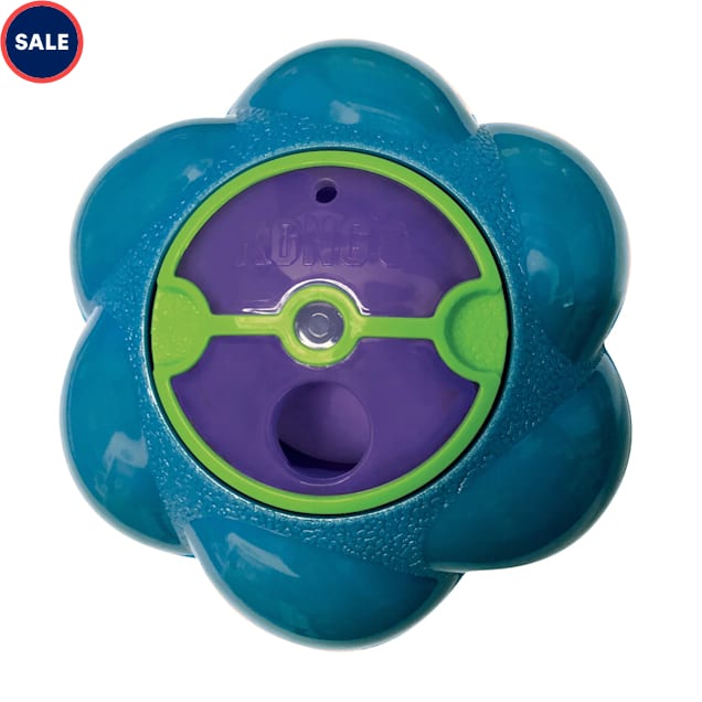 KONG Treat Dispenser Flipz Dog Toy, Small Petco