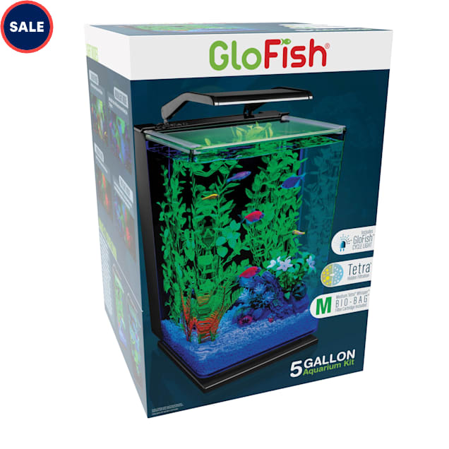 GloFish Desktop Cycle Light And Hidden Filtration Aquarium Kit 5 Gallon