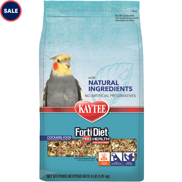 Cockatiel petco online