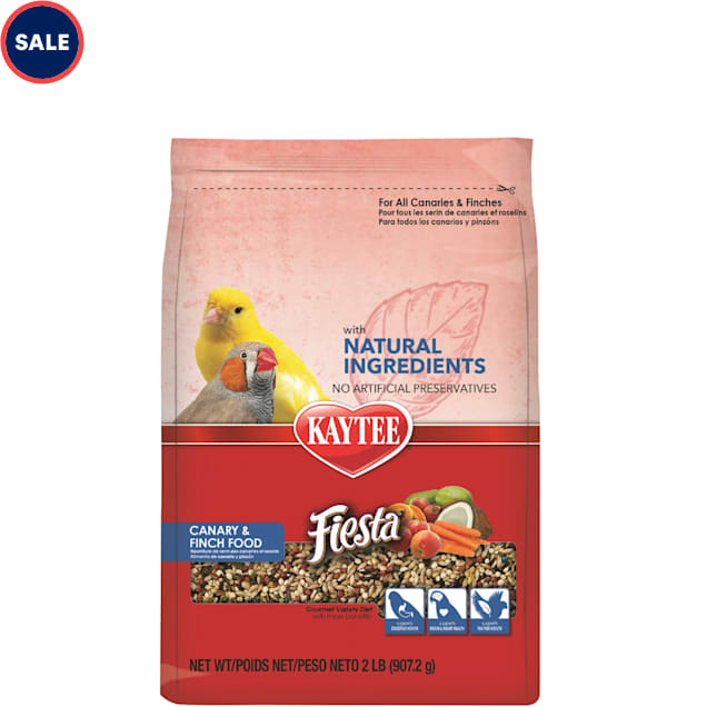Petco canaries store