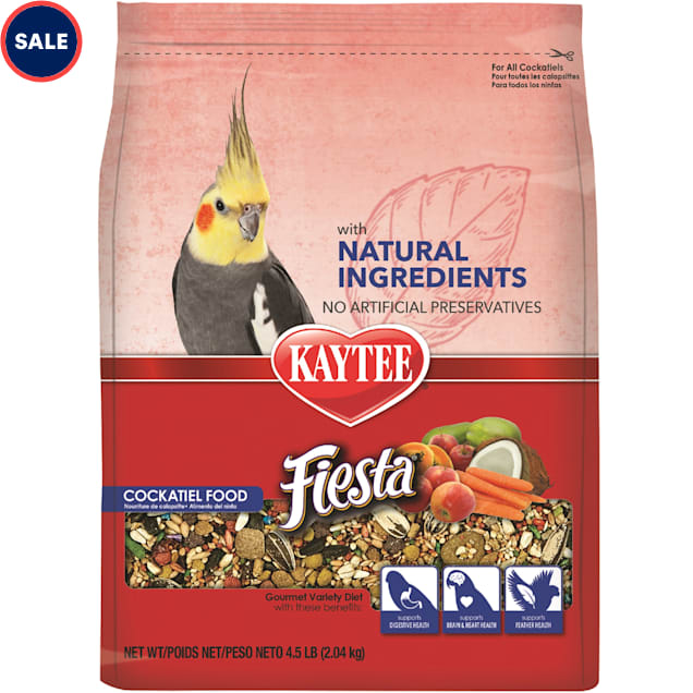 Petco cockatiel sales