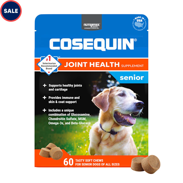 Best joint supplement for dogs with arthritis new arrivals