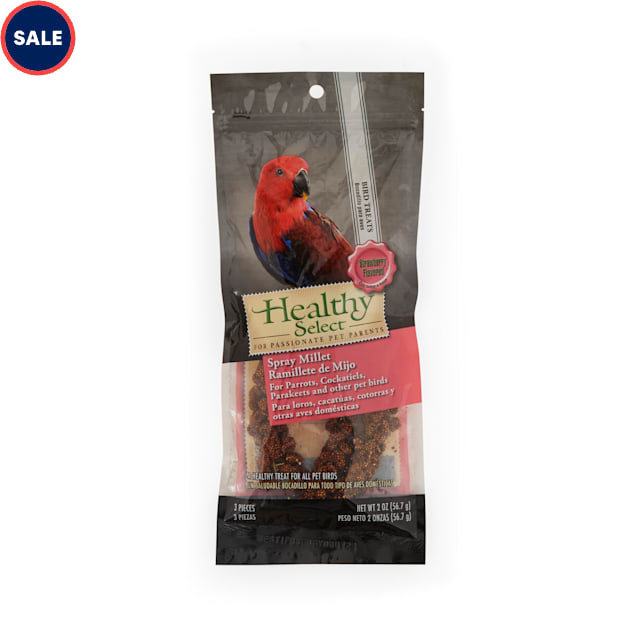 Bird on sale antibiotics petco