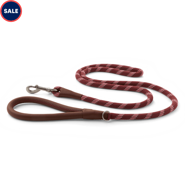 Reddy Burgundy Rope Dog Leash, 6 ft. - Carousel image #1