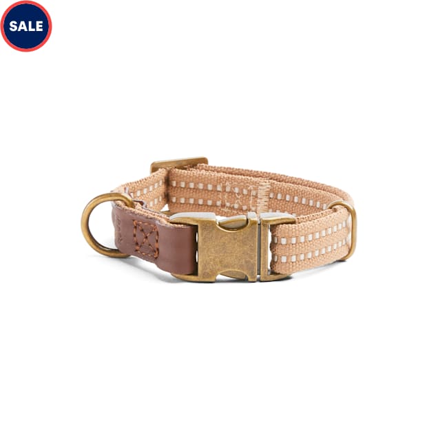 Reddy Tan bed Dog Collar, Small Petco
