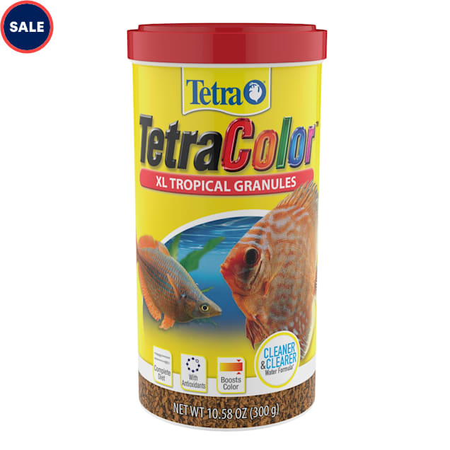 Bloodworms petco online