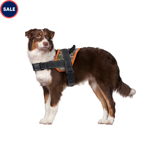 Track & Tail Hunting Harness for Dogs, Large - Carousel image #1