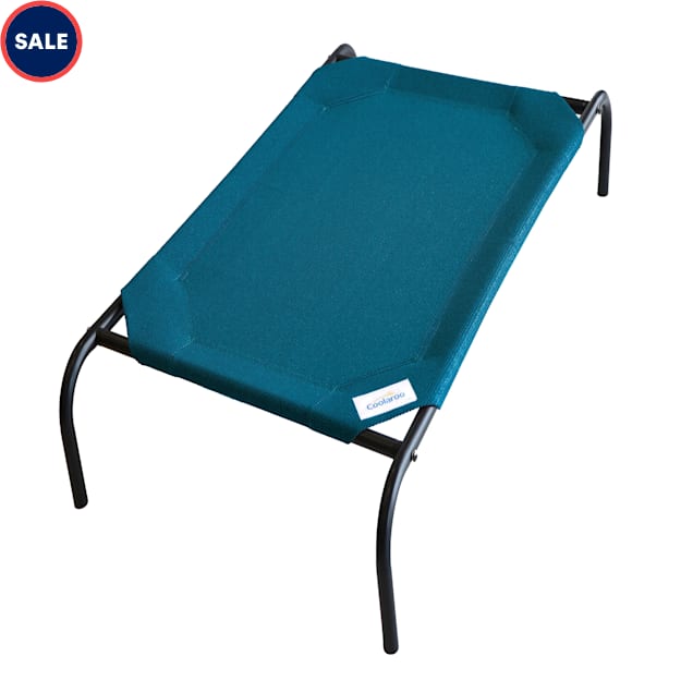 Coolaroo Elevated Dog Bed, 51" L X 31.5" W X 8" H, Turquoise Petco