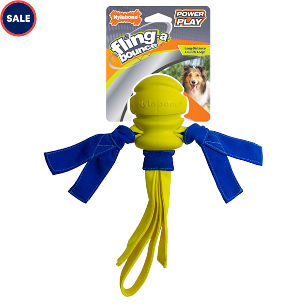 Nylabone Power Play Fling a Bounce Fetch Dog Toy Small