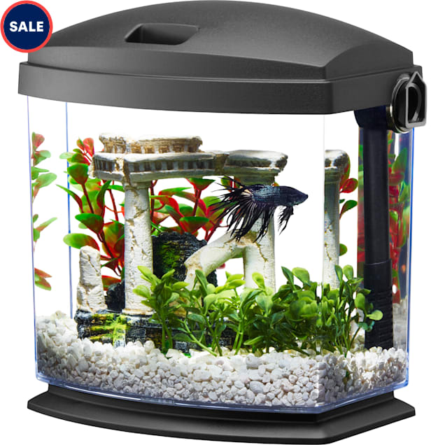 10 gallon tank kit deals