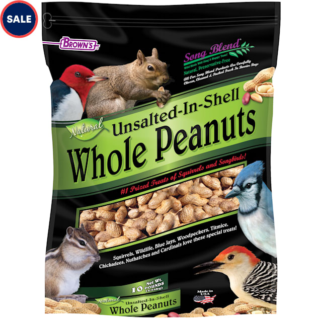 Brown's Song Blend Unsalted In-Shell Whole Peanuts Bird Food, 10 lbs. - Carousel image #1