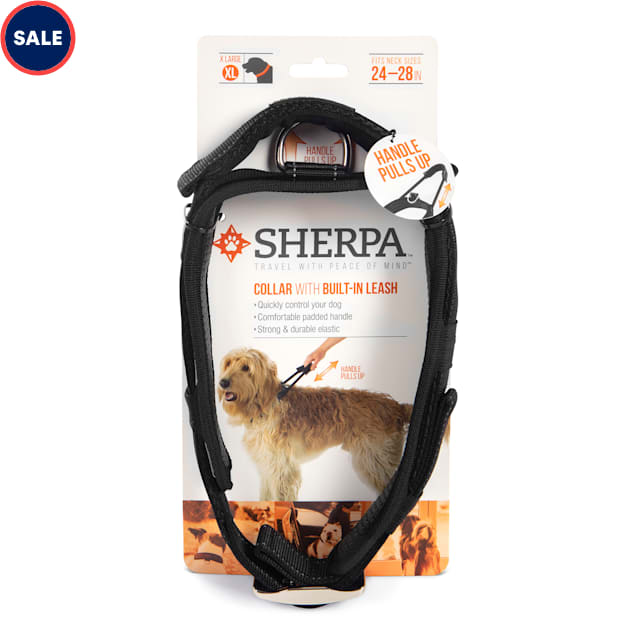 Petco dog best sale run