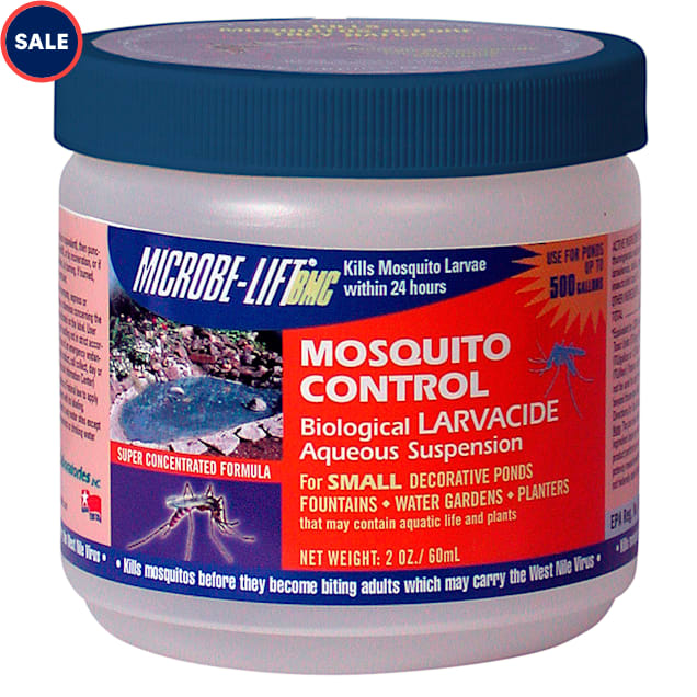 Mosquito fish petco top