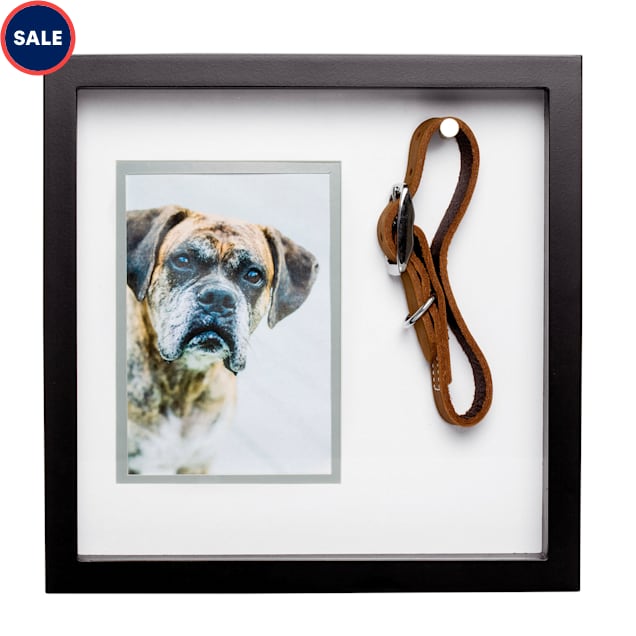 Pearhead Pet Collar and Photo Keepsake Frame Set Large