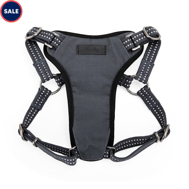 Reddy Grey Small Dog Harness, Medium Petco