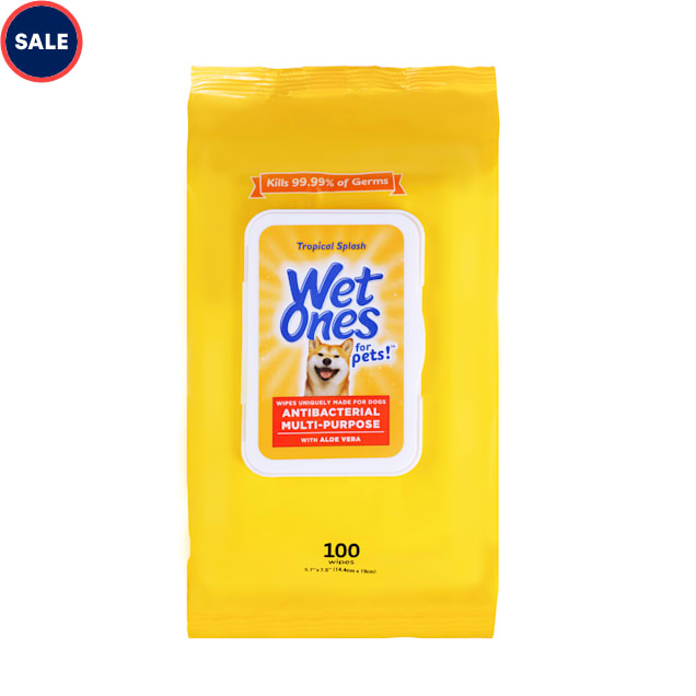 Wet Ones for Pets Antibacterial Multi-Purpose Dog Wipes with Aloe Vera in  Tropical Splash and Wet Lock Seal, Count of 100