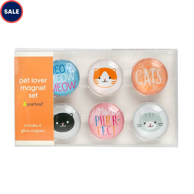 Pearhead Pet Cat Graphic Magnets for Refrigerator, Pack of 6 - Carousel image #1