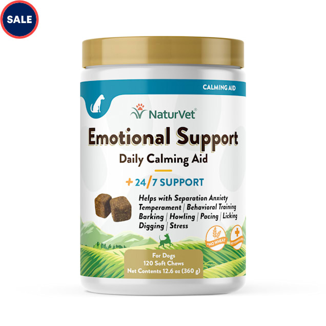 Emotional Support Potato Kit - Tools to cope with Worry & Stress