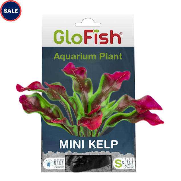 GloFish Mini Kelp Plant Aquarium Decor Fluorescent Under Blue LED Light,  4, Small, Pink/Green