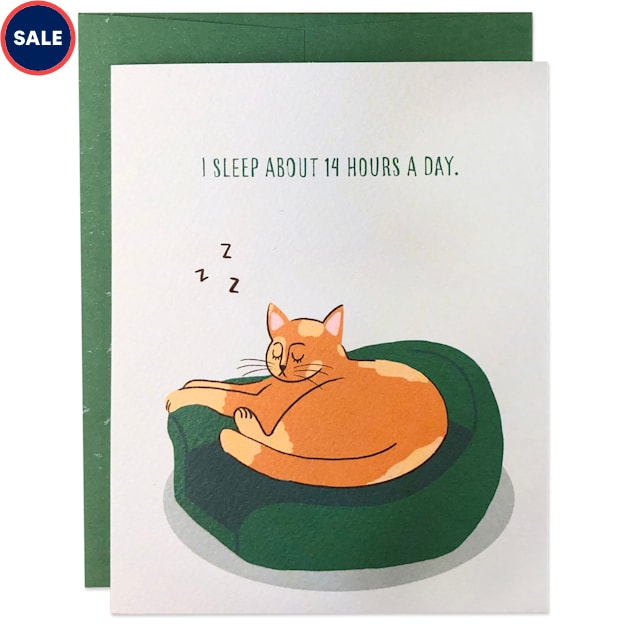 Moose & Pig Sleeping Cat Birthday Card - Carousel image #1