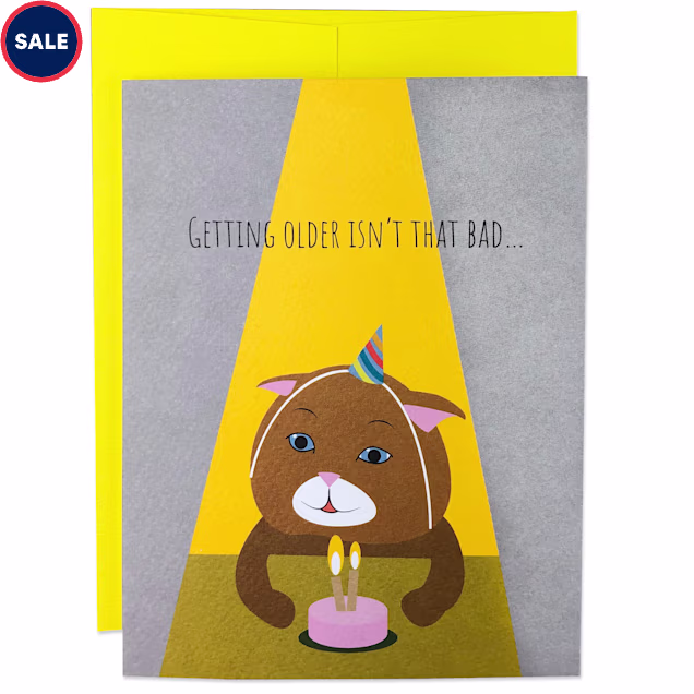 Moose & Pig Getting Older Cat Birthday Card - Carousel image #1