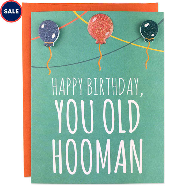 Moose & Pig Old Hooman Dog Birthday Card - Carousel image #1