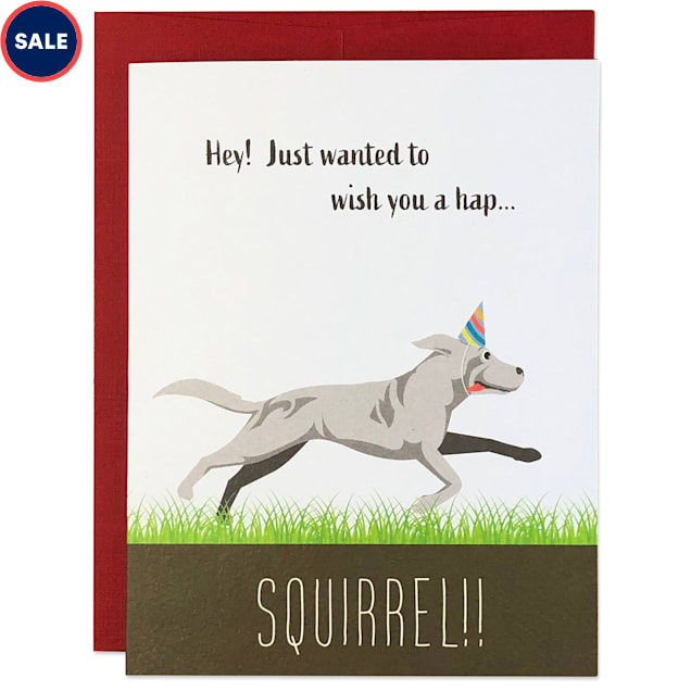Moose & Pig Squirrel Dog Birthday Card - Carousel image #1